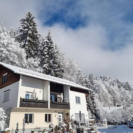 Ferienhaus Burgblick Treffen am Ossiacher See Zewnętrze zdjęcie